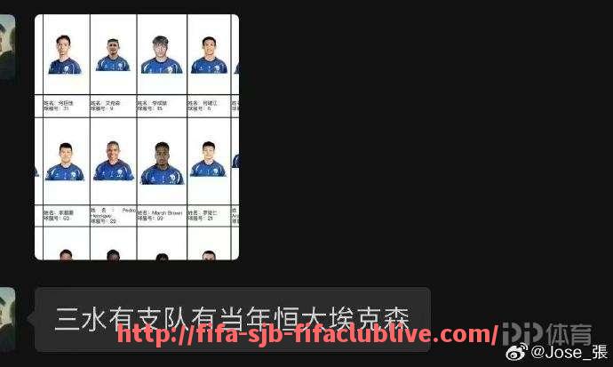 世俱杯直播-拜仁德甲的目标球队是哪些，他们的战略布局如何？（德甲拜仁系有哪几支球队）